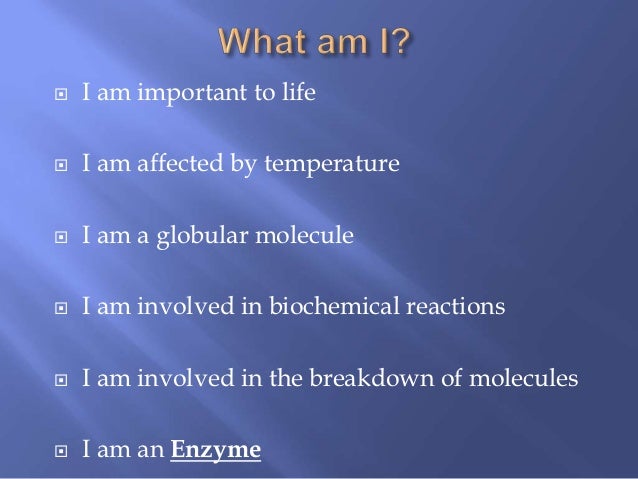 facts about nucleic acids