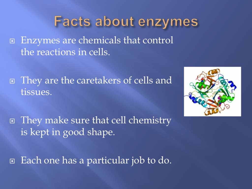Enzymes and Nucleic acids recapAS Biology [JM]