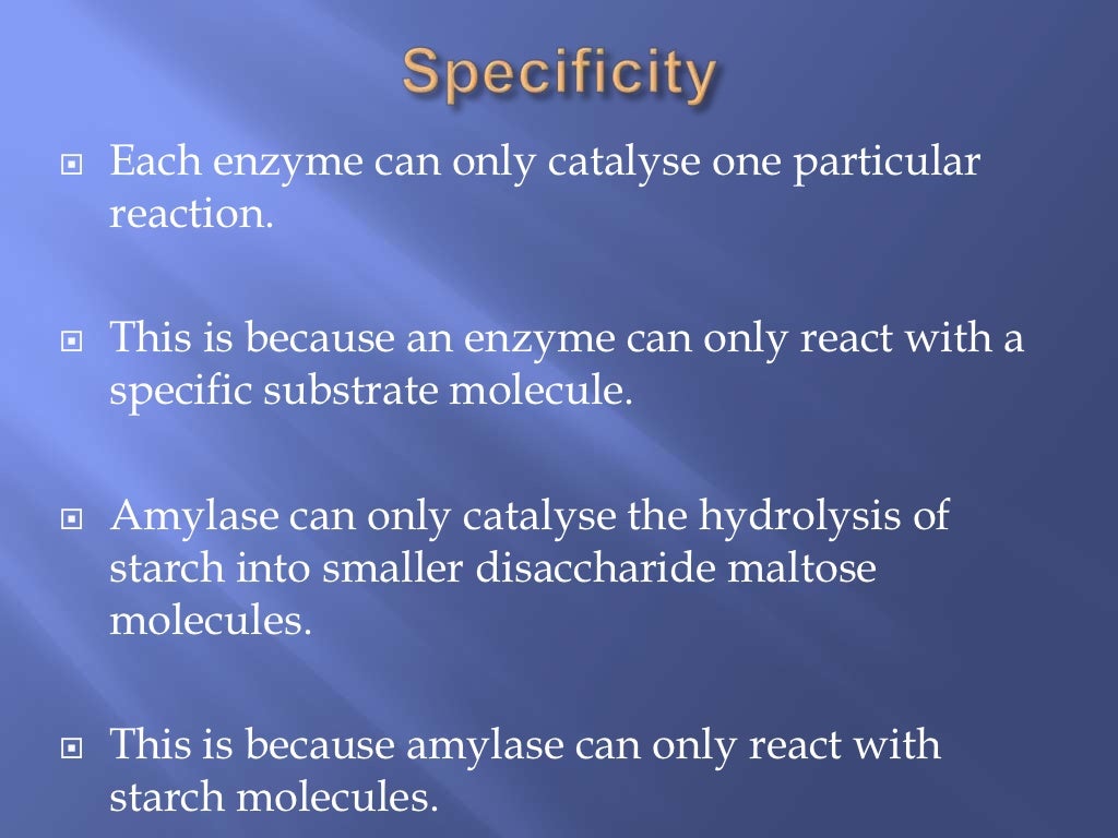 Enzymes and Nucleic acids recapAS Biology [JM]