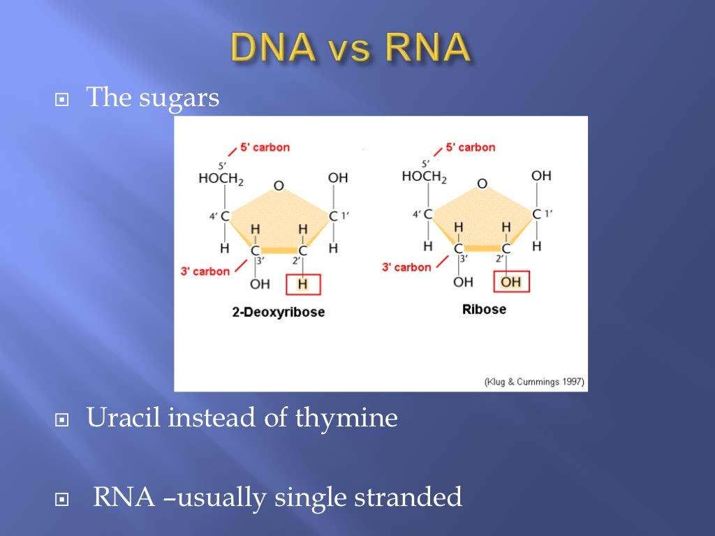 Enzymes and Nucleic acids recapAS Biology [JM]