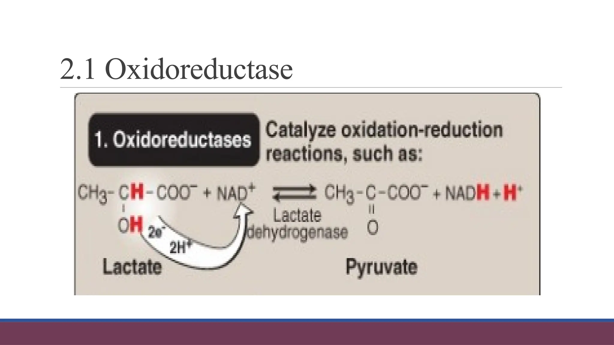 2.1 Oxidoreductase
 