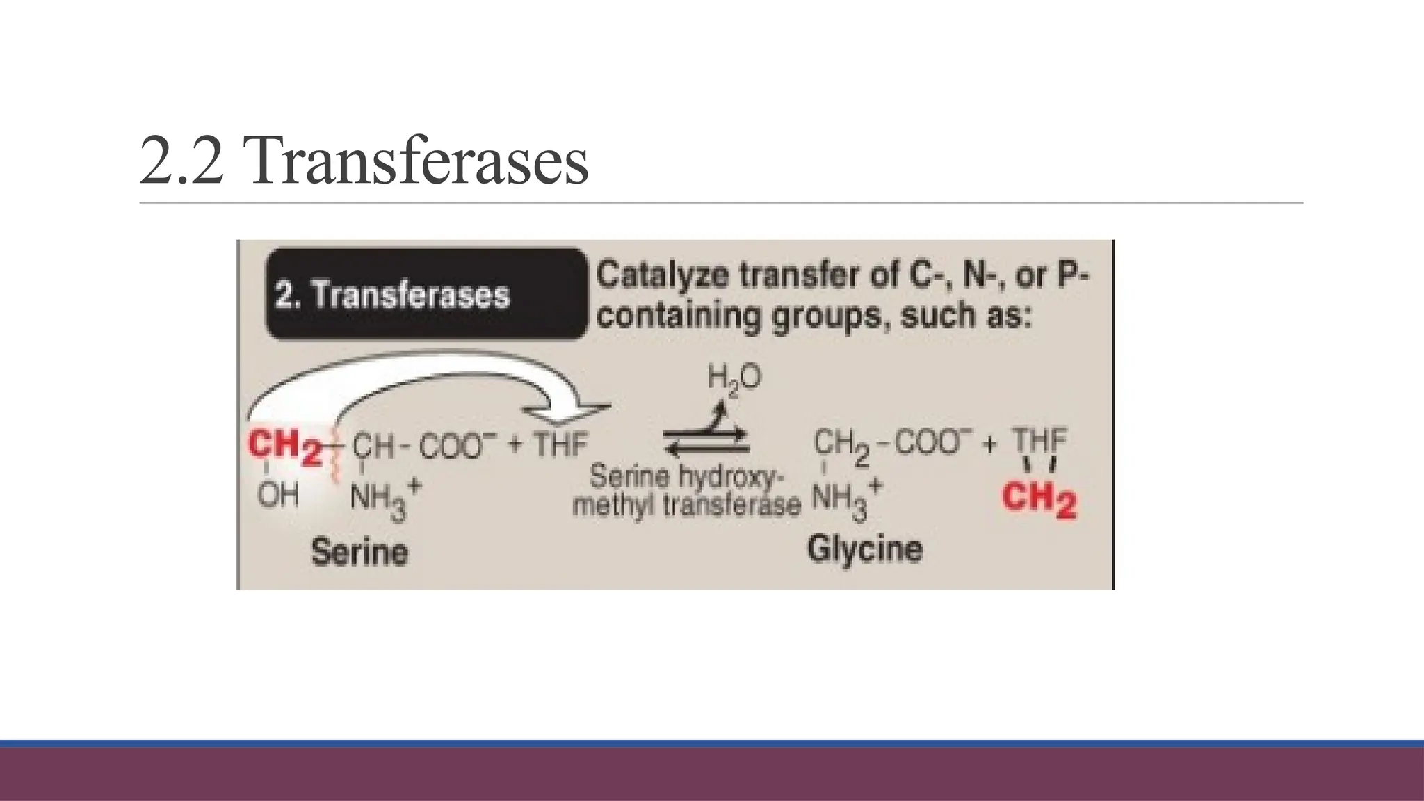 2.2 Transferases
 