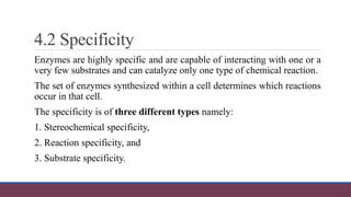 Reaction Specificity Example Enzymes Lec1.pptx in detail whole summary | PPTX