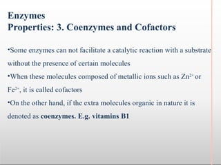 Enzymes Lecture stating its functions and structure | PPTX