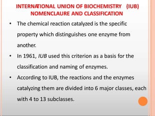 ENZYMES LECTURE 1-converted.ppbbbbbbbbbtx | PPTX