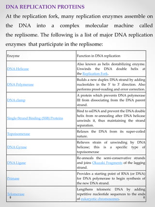 Enzyme Function in DNA replication
DNA Helicase
Also known as helix destabilizing enzyme.
Unwinds the DNA double helix at
the Replication Fork.
DNA Polymerase
Builds a new duplex DNA strand by adding
nucleotides in the 5' to 3' direction. Also
performs proof-reading and error correction.
DNA clamp
A protein which prevents DNA polymerase
III from dissociating from the DNA parent
strand.
Single-Strand Binding (SSB) Proteins
Bind to ssDNA and prevent the DNA double
helix from re-annealing after DNA helicase
unwinds it, thus maintaining the strand
separation.
Topoisomerase
Relaxes the DNA from its super-coiled
nature.
DNA Gyrase
Relieves strain of unwinding by DNA
helicase; this is a specific type of
topoisomerase
DNA Ligase
Re-anneals the semi-conservative strands
and joins Okazaki Fragments of the lagging
strand.
Primase
Provides a starting point of RNA (or DNA)
for DNA polymerase to begin synthesis of
the new DNA strand.
Telomerase
Lengthens telomeric DNA by adding
repetitive nucleotide sequences to the ends
of eukaryotic chromosomes.
DNA REPLICATION PROTEINS
At the replication fork, many replication enzymes assemble on
the DNA into a complex molecular machine called
the replisome. The following is a list of major DNA replication
enzymes that participate in the replisome:
 