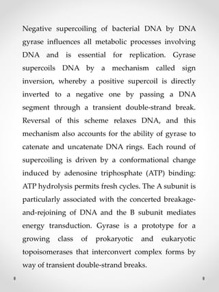 Negative supercoiling of bacterial DNA by DNA
gyrase influences all metabolic processes involving
DNA and is essential for replication. Gyrase
supercoils DNA by a mechanism called sign
inversion, whereby a positive supercoil is directly
inverted to a negative one by passing a DNA
segment through a transient double-strand break.
Reversal of this scheme relaxes DNA, and this
mechanism also accounts for the ability of gyrase to
catenate and uncatenate DNA rings. Each round of
supercoiling is driven by a conformational change
induced by adenosine triphosphate (ATP) binding:
ATP hydrolysis permits fresh cycles. The A subunit is
particularly associated with the concerted breakage-
and-rejoining of DNA and the B subunit mediates
energy transduction. Gyrase is a prototype for a
growing class of prokaryotic and eukaryotic
topoisomerases that interconvert complex forms by
way of transient double-strand breaks.
 