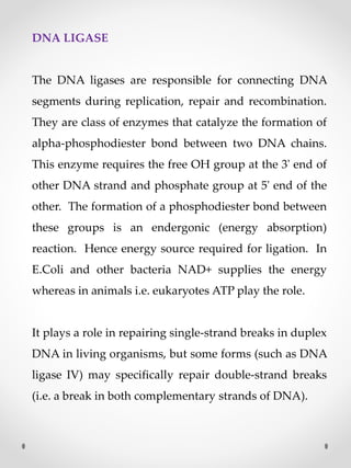 DNA LIGASE
The DNA ligases are responsible for connecting DNA
segments during replication, repair and recombination.
They are class of enzymes that catalyze the formation of
alpha-phosphodiester bond between two DNA chains.
This enzyme requires the free OH group at the 3' end of
other DNA strand and phosphate group at 5' end of the
other. The formation of a phosphodiester bond between
these groups is an endergonic (energy absorption)
reaction. Hence energy source required for ligation. In
E.Coli and other bacteria NAD+ supplies the energy
whereas in animals i.e. eukaryotes ATP play the role.
It plays a role in repairing single-strand breaks in duplex
DNA in living organisms, but some forms (such as DNA
ligase IV) may specifically repair double-strand breaks
(i.e. a break in both complementary strands of DNA).
 