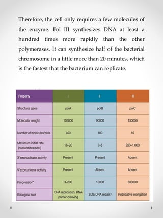 Therefore, the cell only requires a few molecules of
the enzyme. Pol III synthesizes DNA at least a
hundred times more rapidly than the other
polymerases. It can synthesize half of the bacterial
chromosome in a little more than 20 minutes, which
is the fastest that the bacterium can replicate.
 