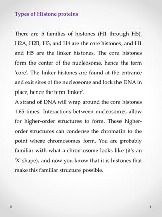 Types of Histone proteins
There are 5 families of histones (H1 through H5).
H2A, H2B, H3, and H4 are the core histones, and H1
and H5 are the linker histones. The core histones
form the center of the nucleosome, hence the term
'core'. The linker histones are found at the entrance
and exit sites of the nucleosome and lock the DNA in
place, hence the term 'linker'.
A strand of DNA will wrap around the core histones
1.65 times. Interactions between nucleosomes allow
for higher-order structures to form. These higher-
order structures can condense the chromatin to the
point where chromosomes form. You are probably
familiar with what a chromosome looks like (it's an
'X' shape), and now you know that it is histones that
make this familiar structure possible.
 