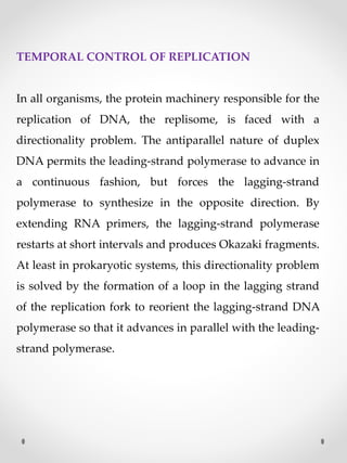 TEMPORAL CONTROL OF REPLICATION
In all organisms, the protein machinery responsible for the
replication of DNA, the replisome, is faced with a
directionality problem. The antiparallel nature of duplex
DNA permits the leading-strand polymerase to advance in
a continuous fashion, but forces the lagging-strand
polymerase to synthesize in the opposite direction. By
extending RNA primers, the lagging-strand polymerase
restarts at short intervals and produces Okazaki fragments.
At least in prokaryotic systems, this directionality problem
is solved by the formation of a loop in the lagging strand
of the replication fork to reorient the lagging-strand DNA
polymerase so that it advances in parallel with the leading-
strand polymerase.
 