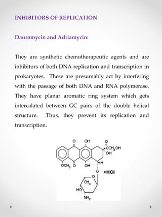 INHIBITORS OF REPLICATION
Dauromycin and Adriamycin:
They are synthetic chemotherapeutic agents and are
inhibitors of both DNA replication and transcription in
prokaryotes. These are presumably act by interfering
with the passage of both DNA and RNA polymerase.
They have planar aromatic ring system which gets
intercalated between GC pairs of the double helical
structure. Thus, they prevent its replication and
transcription.
 
