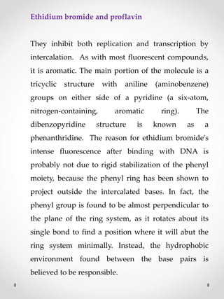 Ethidium bromide and proflavin
They inhibit both replication and transcription by
intercalation. As with most fluorescent compounds,
it is aromatic. The main portion of the molecule is a
tricyclic structure with aniline (aminobenzene)
groups on either side of a pyridine (a six-atom,
nitrogen-containing, aromatic ring). The
dibenzopyridine structure is known as a
phenanthridine. The reason for ethidium bromide's
intense fluorescence after binding with DNA is
probably not due to rigid stabilization of the phenyl
moiety, because the phenyl ring has been shown to
project outside the intercalated bases. In fact, the
phenyl group is found to be almost perpendicular to
the plane of the ring system, as it rotates about its
single bond to find a position where it will abut the
ring system minimally. Instead, the hydrophobic
environment found between the base pairs is
believed to be responsible.
 