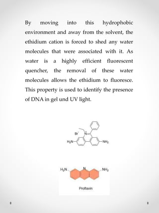 By moving into this hydrophobic
environment and away from the solvent, the
ethidium cation is forced to shed any water
molecules that were associated with it. As
water is a highly efficient fluorescent
quencher, the removal of these water
molecules allows the ethidium to fluoresce.
This property is used to identify the presence
of DNA in gel und UV light.
 