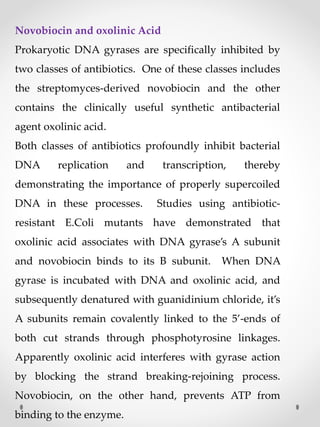 Novobiocin and oxolinic Acid
Prokaryotic DNA gyrases are specifically inhibited by
two classes of antibiotics. One of these classes includes
the streptomyces-derived novobiocin and the other
contains the clinically useful synthetic antibacterial
agent oxolinic acid.
Both classes of antibiotics profoundly inhibit bacterial
DNA replication and transcription, thereby
demonstrating the importance of properly supercoiled
DNA in these processes. Studies using antibiotic-
resistant E.Coli mutants have demonstrated that
oxolinic acid associates with DNA gyrase’s A subunit
and novobiocin binds to its B subunit. When DNA
gyrase is incubated with DNA and oxolinic acid, and
subsequently denatured with guanidinium chloride, it’s
A subunits remain covalently linked to the 5’-ends of
both cut strands through phosphotyrosine linkages.
Apparently oxolinic acid interferes with gyrase action
by blocking the strand breaking-rejoining process.
Novobiocin, on the other hand, prevents ATP from
binding to the enzyme.
 