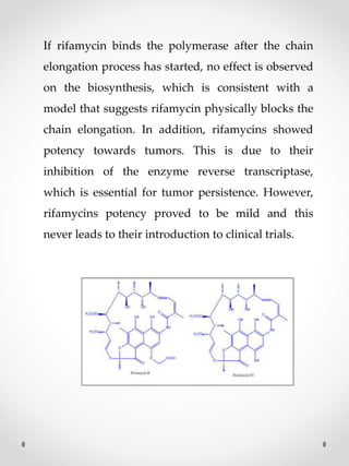 If rifamycin binds the polymerase after the chain
elongation process has started, no effect is observed
on the biosynthesis, which is consistent with a
model that suggests rifamycin physically blocks the
chain elongation. In addition, rifamycins showed
potency towards tumors. This is due to their
inhibition of the enzyme reverse transcriptase,
which is essential for tumor persistence. However,
rifamycins potency proved to be mild and this
never leads to their introduction to clinical trials.
 