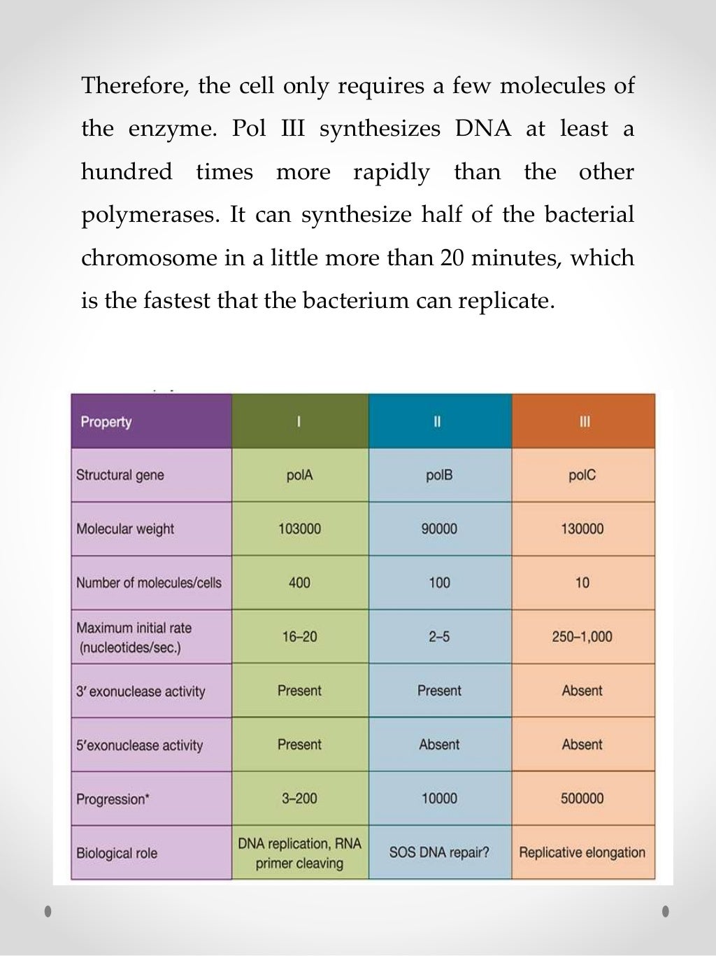 Enzymes of DNA replication
