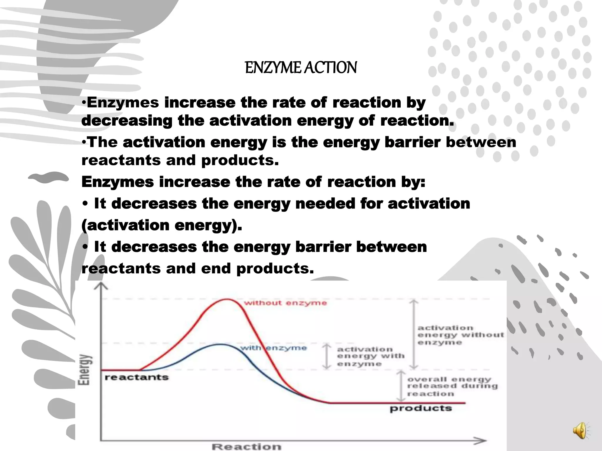 ENZYMEACTION
•Enzymes increase the rate of reaction by
decreasing the activation energy of reaction.
•The activation energy is the energy barrier between
reactants and products.
Enzymes increase the rate of reaction by:
• It decreases the energy needed for activation
(activation energy).
• It decreases the energy barrier between
reactants and end products.
 