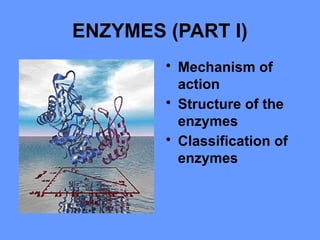 ENZYMES (PART I)
• Mechanism of
action
• Structure of the
enzymes
• Classification of
enzymes
 
