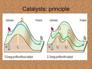 Catalysts: principle
 
