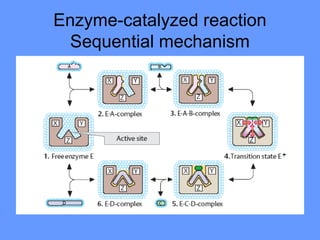 Enzyme-catalyzed reaction
Sequential mechanism
 
