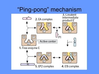 “Ping-pong” mechanism
 