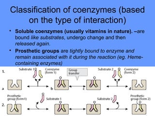 Classification of coenzymes (based
on the type of interaction)
• Soluble coenzymes (usually vitamins in nature). –are
bound like substrates, undergo change and then
released again.
• Prosthetic groups are tightly bound to enzyme and
remain associated with it during the reaction (eg. Heme-
containing enzymes)
 