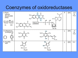 Coenzymes of oxidoreductases
 