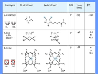 Enzymes Part~1