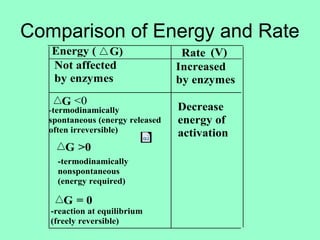 Comparison of Energy and Rate
Not affected
by enzymes
Increased
by enzymes
Energy ( G) Rate (V)
G <0
-termodinamically
spontaneous (energy released
often irreversible)
G >0
-termodinamically
nonspontaneous
(energy required)
G = 0
-reaction at equilibrium
(freely reversible)
Decrease
energy of
activation
 