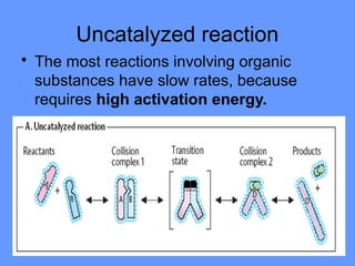 Uncatalyzed reaction
• The most reactions involving organic
substances have slow rates, because
requires high activation energy.
 