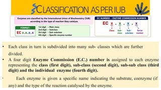 Ec Number Comprehensive Overview of Enzymes: Structure, Function, and Activity ...