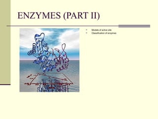 ENZYMES (PART II)
 Models of active site
 Classification of enzymes
 