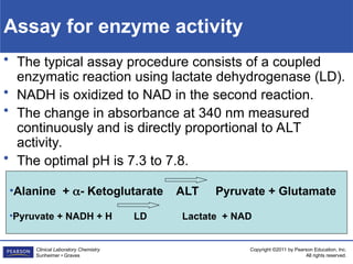 Comprehensive Overview of Diagnostic Enzymes in Clinical Laboratory ...