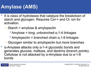 Comprehensive Overview of Diagnostic Enzymes in Clinical Laboratory ...