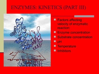 ENZYMES: KINETICS (PART III)
 Factors affecting
velocity of enzymatic
reaction:
 Enzyme concentration
 Substrate concentration
 pH
 Temperature
 Inhibitors
 