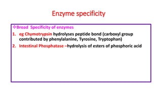 Enzyme specificity
Broad Specificity of enzymes
1. eg Chymotrypsin hydrolyses peptide bond (carboxyl group
contributed by phenylalanine, Tyrosine, Tryptophan)
2. Intestinal Phosphatase –hydrolysis of esters of phosphoric acid
 