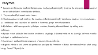 Enzymes :
 Enzymes are biological catalysts that accelerate biochemical reactions by lowering the activation energy required
for the conversion of substrates into products.
 They are classified into six main classes:
1) Oxidoreductases: which catalyzes the oxidation-reduction reactions by transferring electrons between substrates.
2) Transferases: This facilitates the transfer of functional groups between substrates
3) Hydrolases: which catalyzes the hydrolysis reactions, breaking chemical bonds by adding water
molecules.
4) Lyases: which catalyzes the addition or removal of groups to double bonds or the cleavage of bonds without
hydrolysis or oxidation-reduction.
5) Isomerases: catalyze the rearrangement of atoms within a molecule.
6) Ligases: which is also known as synthetases, catalyze the formation of bonds between molecules, often using
energy from ATP hydrolysis.
 