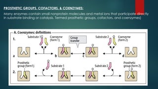 Prosthetic Group Examples Enzymes function. power point (2).pptx