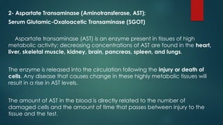 Enzymes function. power point (2).pptx