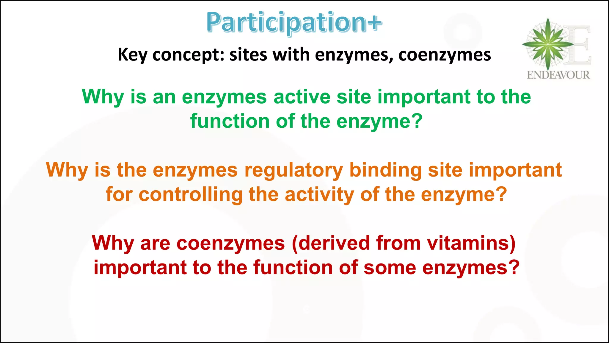 Why is an enzymes active site important to the
function of the enzyme?
Why is the enzymes regulatory binding site important
for controlling the activity of the enzyme?
Why are coenzymes (derived from vitamins)
important to the function of some enzymes?
G
Key concept: sites with enzymes, coenzymes
 