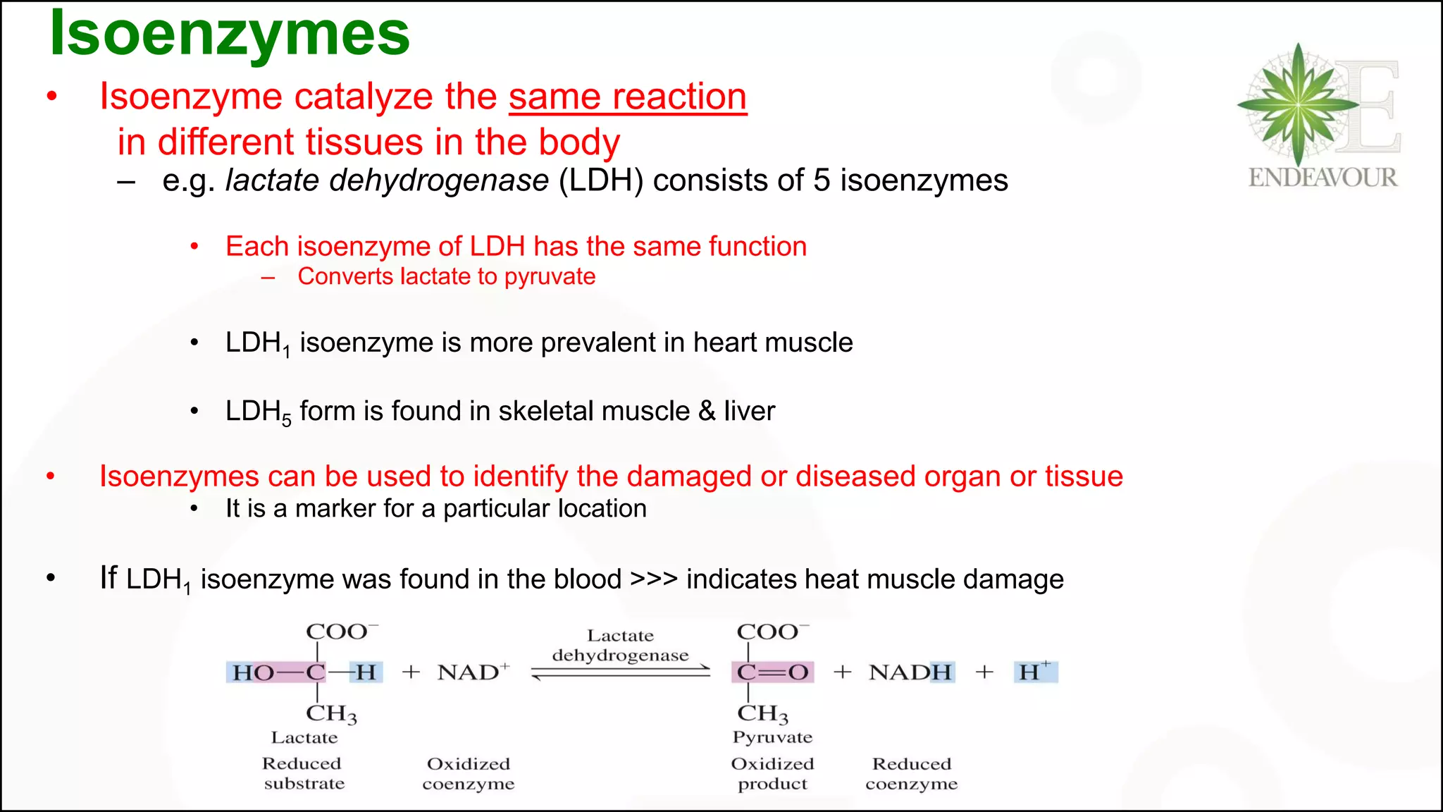 Isoenzymes
• Isoenzyme catalyze the same reaction
in different tissues in the body
– e.g. lactate dehydrogenase (LDH) consists of 5 isoenzymes
• Each isoenzyme of LDH has the same function
– Converts lactate to pyruvate
• LDH1 isoenzyme is more prevalent in heart muscle
• LDH5 form is found in skeletal muscle & liver
• Isoenzymes can be used to identify the damaged or diseased organ or tissue
• It is a marker for a particular location
• If LDH1 isoenzyme was found in the blood >>> indicates heat muscle damage
 