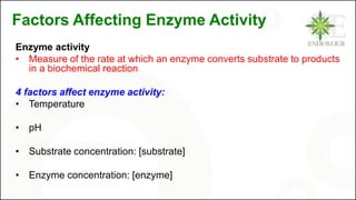 Factors Affecting Enzyme Activity
Enzyme activity
• Measure of the rate at which an enzyme converts substrate to products
in a biochemical reaction
4 factors affect enzyme activity:
• Temperature
• pH
• Substrate concentration: [substrate]
• Enzyme concentration: [enzyme]
 