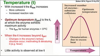 Temperature (t)
• With increased t the EKIN increases
– More collisions
– Increased reaction rate
• Optimum temperature (tOPT) is the t,
at which the enzyme exhibits
maximum activity
– The tOPT for human enzymes = 370C
• When the t increases beyond tOPT
– Changes in the enzyme’s tertiary
structure occur, inactivating & denaturing
it (e.g. fever)
• Little activity is observed at low t
Stoker 2014, Figure 21-6 p753
 
