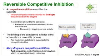 Reversible Competitive Inhibition
• A competitive inhibitor resembles the
substrate
– Inhibitor competes with the substrate for binding to
the active site of the enzyme
– If an inhibitor is bound to the active site:
• Prevents the substrate molecules to access
the active site
– Decreasing / stopping enzyme activity
• The binding of the competitive inhibitor to the
active site is a reversible process
– Add much more substrate to outcompete the
competitive inhibitor
• Many drugs are competitive inhibitors:
– Anti-histamines inhibit histidine decarboxylase,
which converts histidine to histamine
Stoker 2014, Figure 21-11 p758
 