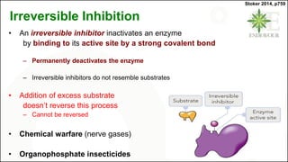 Irreversible Inhibition
• An irreversible inhibitor inactivates an enzyme
by binding to its active site by a strong covalent bond
– Permanently deactivates the enzyme
– Irreversible inhibitors do not resemble substrates
• Addition of excess substrate
doesn’t reverse this process
– Cannot be reversed
• Chemical warfare (nerve gases)
• Organophosphate insecticides
Stoker 2014, p759
 