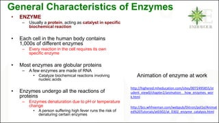 General Characteristics of Enzymes
• ENZYME
– Usually a protein, acting as catalyst in specific
biochemical reaction
• Each cell in the human body contains
1,000s of different enzymes
– Every reaction in the cell requires its own
specific enzyme
• Most enzymes are globular proteins
– A few enzymes are made of RNA
• Catalyze biochemical reactions involving
nucleic acids
• Enzymes undergo all the reactions of
proteins
– Enzymes denaturation due to pH or temperature
change
• A person suffering high fever runs the risk of
denaturing certain enzymes
http://highered.mheducation.com/sites/0072495855/st
udent_view0/chapter2/animation__how_enzymes_wor
k.html
Animation of enzyme at work
http://bcs.whfreeman.com/webpub/Ektron/pol1e/Animat
ed%20Tutorials/at0302/at_0302_enzyme_catalysis.html
 