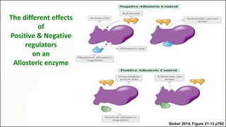 Stoker 2014, Figure 21-13 p762
The different effects
of
Positive & Negative
regulators
on an
Allosteric enzyme
 