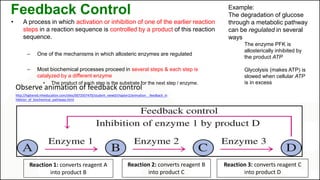 Feedback Control
Reaction 1: converts reagent A
into product B
Reaction 2: converts reagent B
into product C
Reaction 3: converts reagent C
into product D
http://highered.mheducation.com/sites/0072507470/student_view0/chapter2/animation__feedback_in
hibition_of_biochemical_pathways.html
Observe animation of feedback control
Example:
The degradation of glucose
through a metabolic pathway
can be regulated in several
ways
The enzyme PFK is
allosterically inhibited by
the product ATP
Glycolysis (makes ATP) is
slowed when cellular ATP
is in excess
• A process in which activation or inhibition of one of the earlier reaction
steps in a reaction sequence is controlled by a product of this reaction
sequence.
– One of the mechanisms in which allosteric enzymes are regulated
– Most biochemical processes proceed in several steps & each step is
catalyzed by a different enzyme
• The product of each step is the substrate for the next step / enzyme.
 