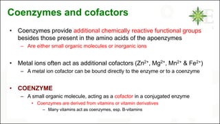 Coenzymes and cofactors
• Coenzymes provide additional chemically reactive functional groups
besides those present in the amino acids of the apoenzymes
– Are either small organic molecules or inorganic ions
• Metal ions often act as additional cofactors (Zn2+, Mg2+, Mn2+ & Fe2+)
– A metal ion cofactor can be bound directly to the enzyme or to a coenzyme
• COENZYME
– A small organic molecule, acting as a cofactor in a conjugated enzyme
• Coenzymes are derived from vitamins or vitamin derivatives
– Many vitamins act as coenzymes, esp. B-vitamins
 
